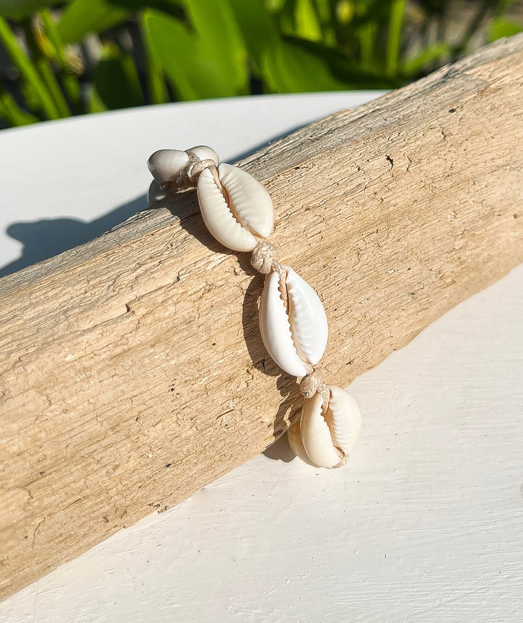 Natural Cowrie Shell Bracelet in Gold | Citrus Reef